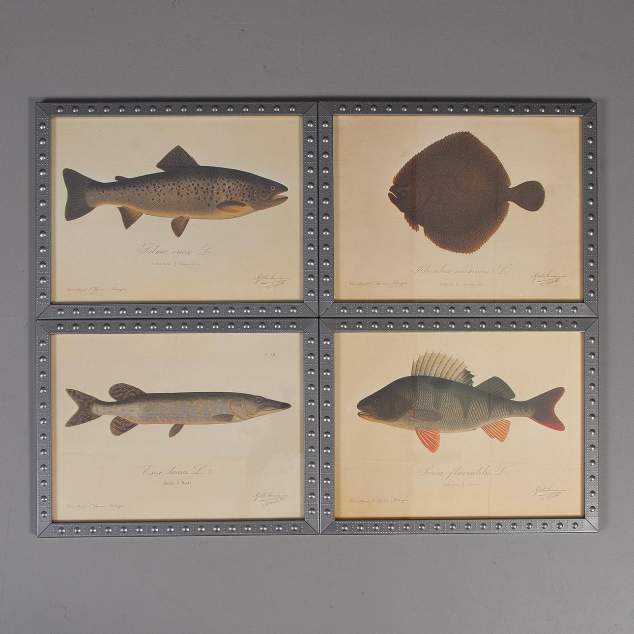 GÖSTA SUNDMAN. 4 st tryck IKEA.