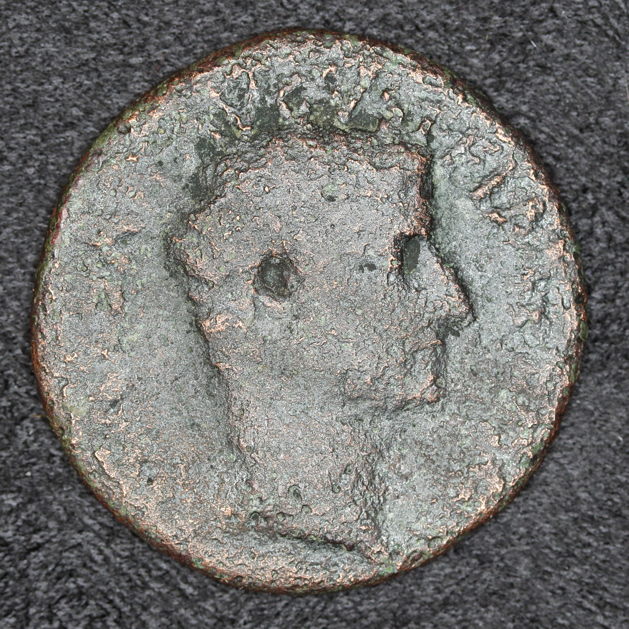 Bronsmynt, Tiberius als Cäsar, AE als. 8-12 n. Chr.