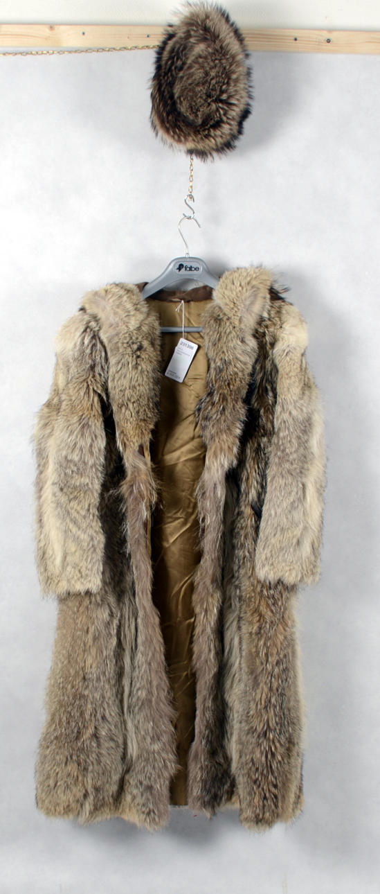 PÄLS, Nordamerikansk Fjällräv.