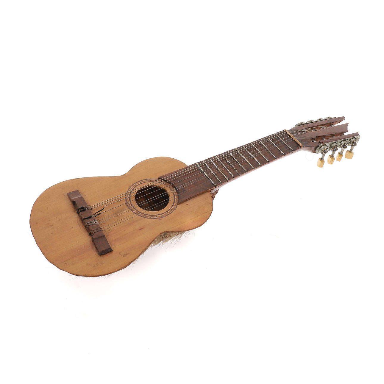 AN ARMADILLO MOUNTED GUITAR.