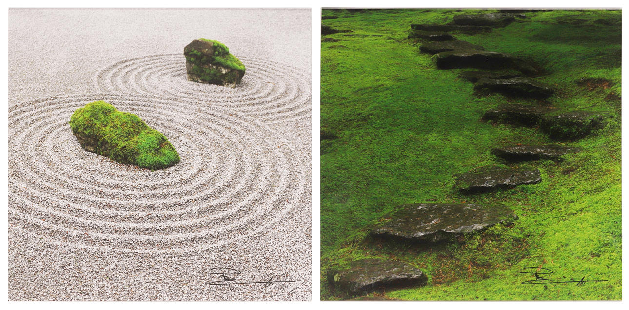 PETER LIK (1959). "ZEN" PHOTOGRAPHY 2 ELEMENT PACK.
