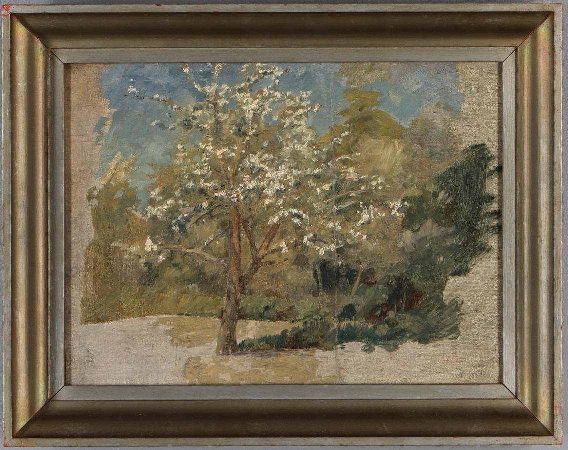 JOHAN KROUTHÉN. Äppelträd, skiss, olja på duk uppsatt på pannå, osignerad.