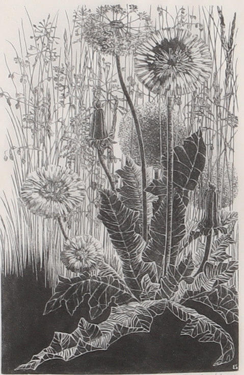 EVA STOCKHAUS. "Spring sign", woodcut, signed.