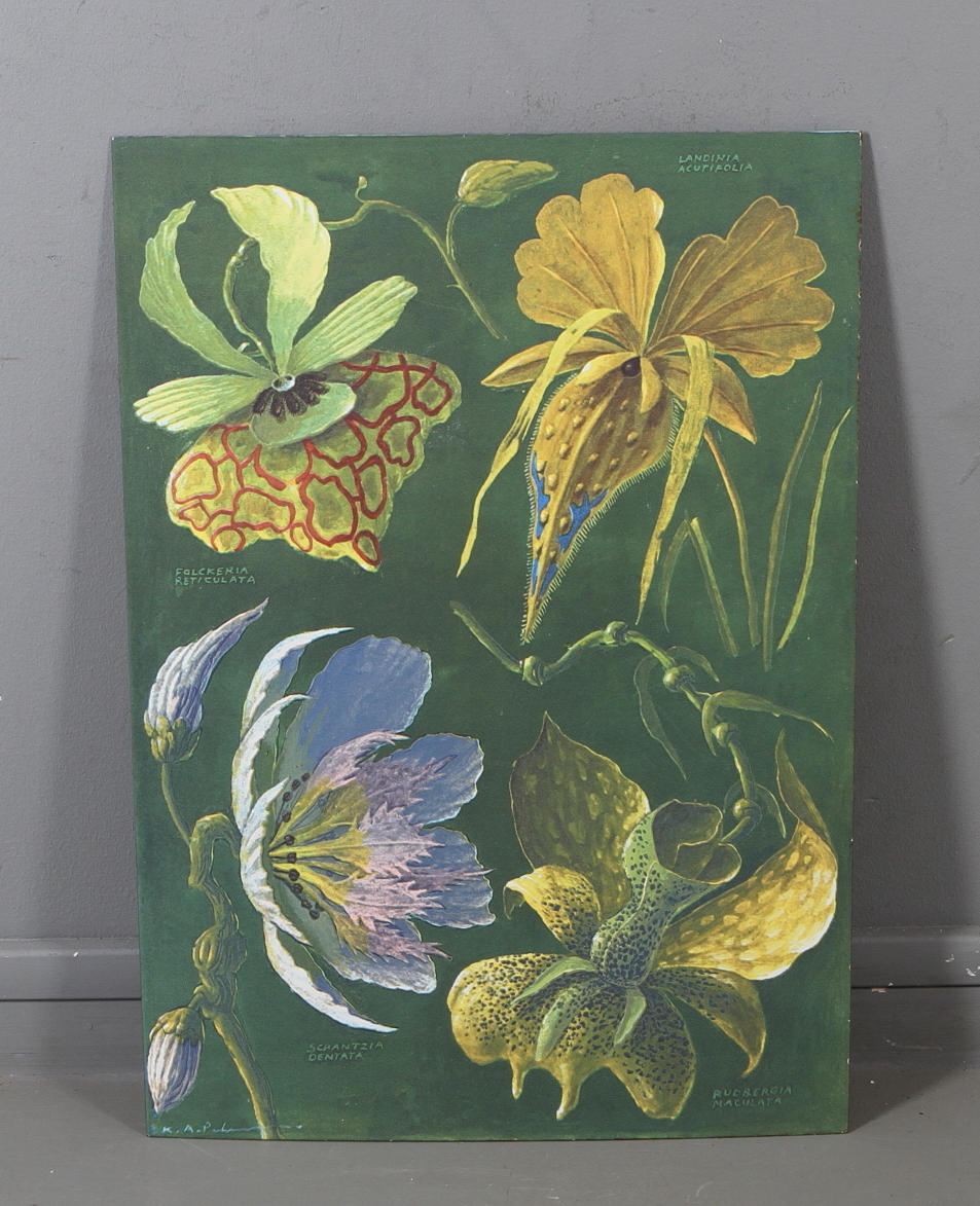 KARL AXEL PEHRSON. tryck på emalj, signerad i plåt.