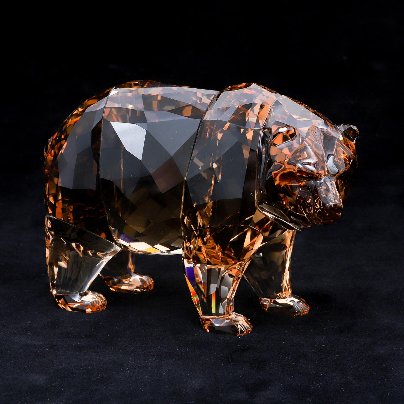 SWAROVSKI: OSO ARCADIA DE LA EDICIÓN ANUAL DE 2017.