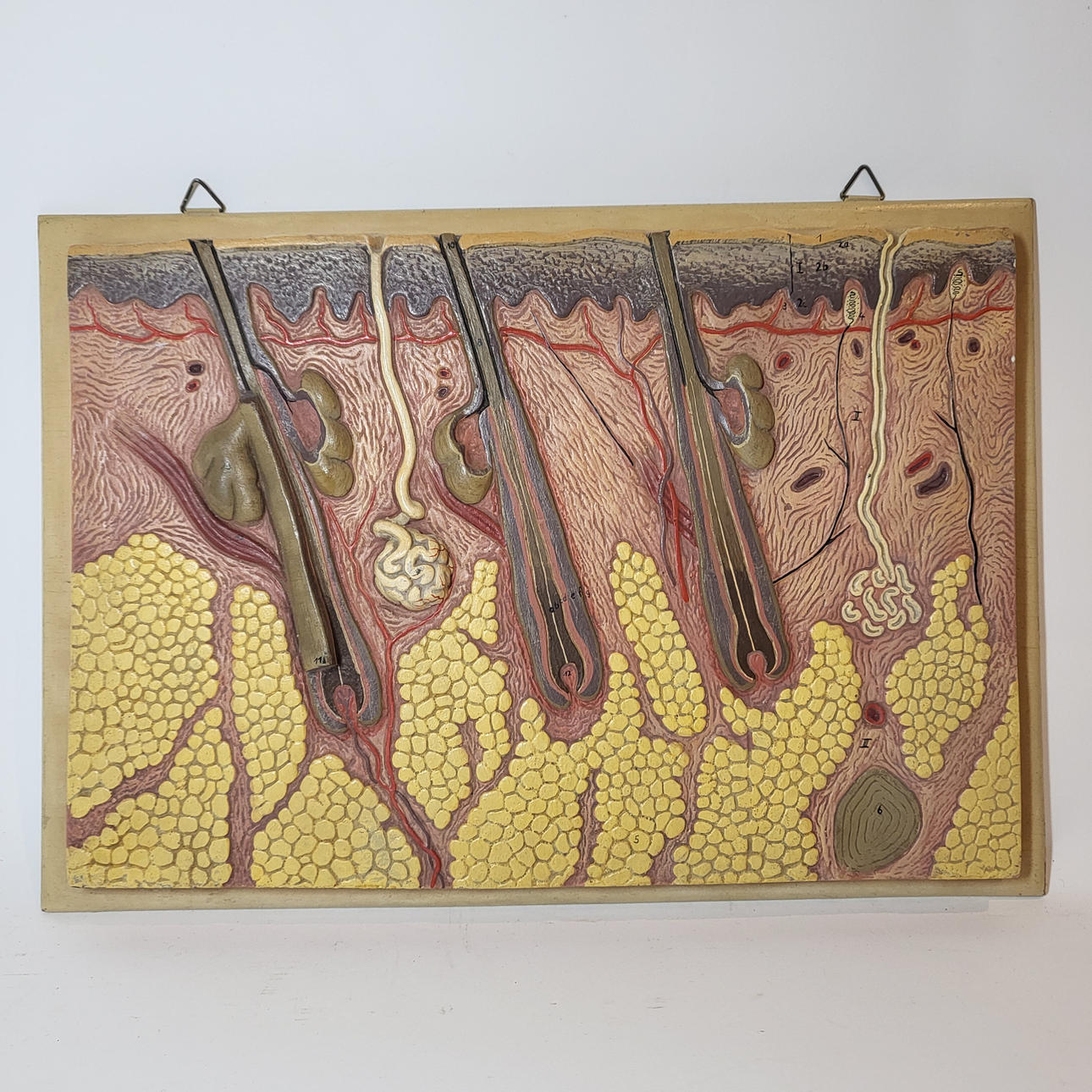 40S STUDIO KAPILLÄR TAKLAMPA.