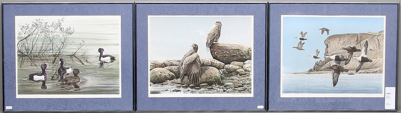 DAG PETERSON. Färglitografier, 3 st, signerade 105/250.