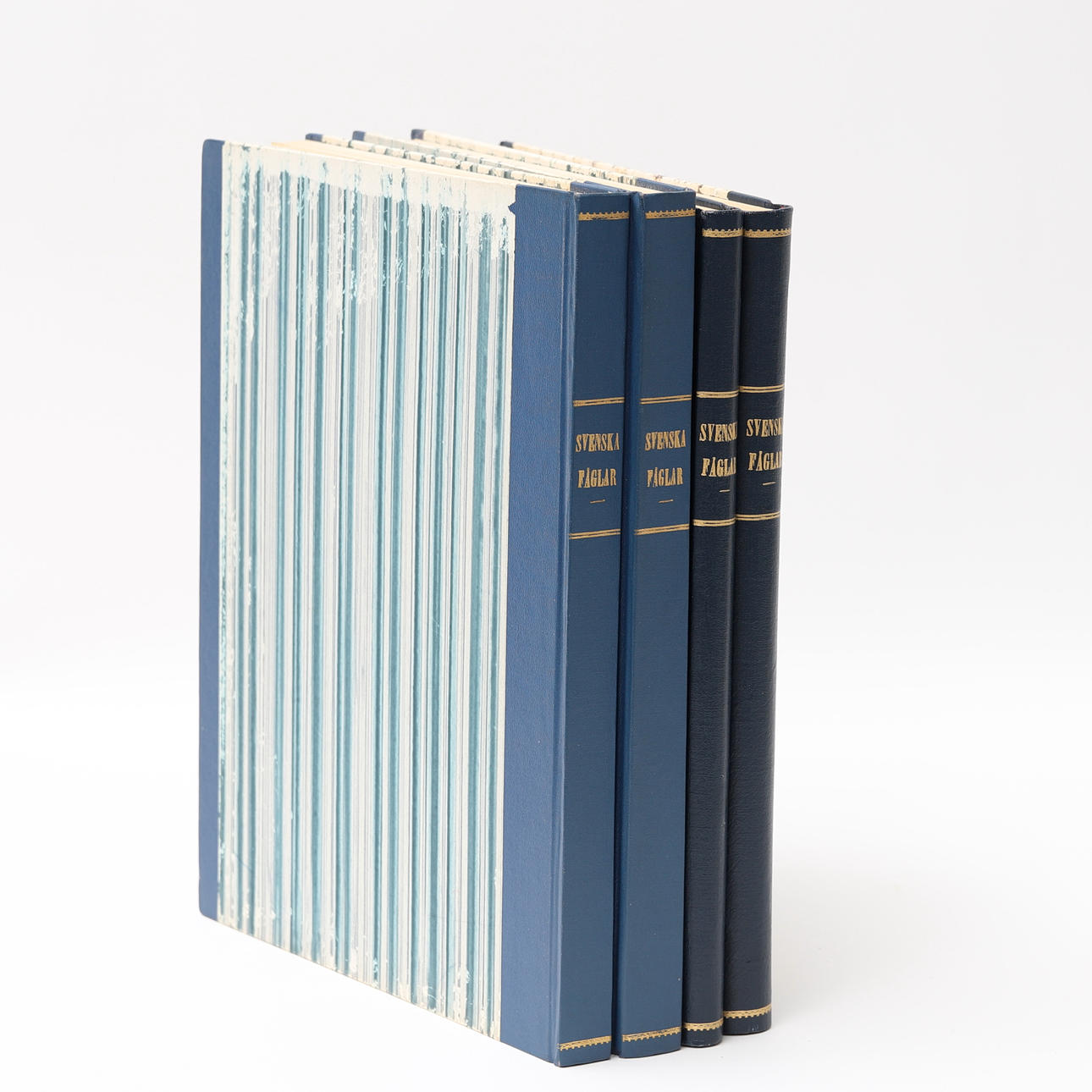 VON WRIGHTIN VELJEET. Kirjat, "Ruotsin linnut".