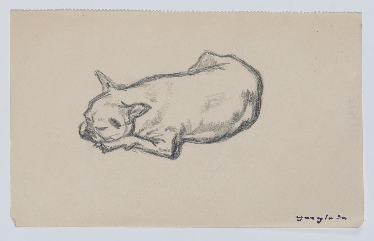 PERE YNGLADA. Retrato de Snow.