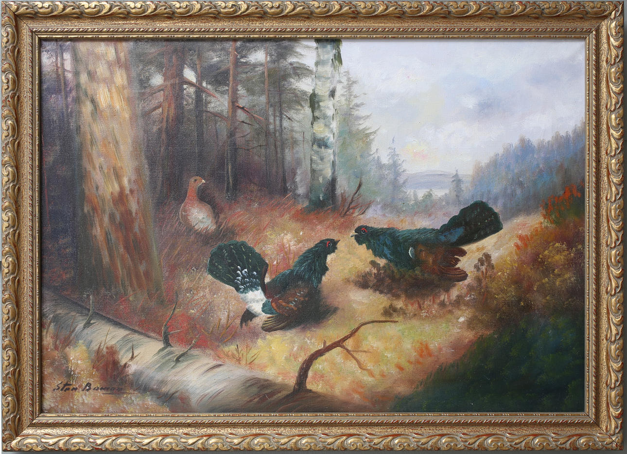 STEN BOMAN. Olja på duk, Orrspel, Signerad Sten Boman.