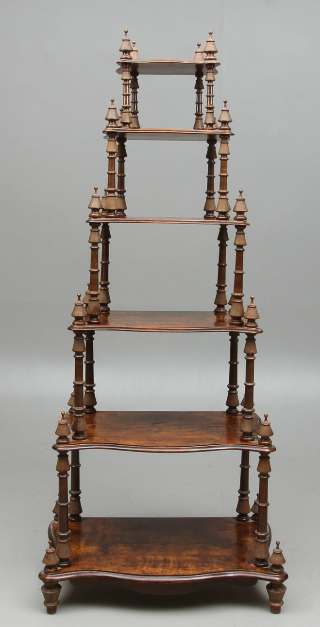 ANTENIENNE, björk, 1800-talets slut.