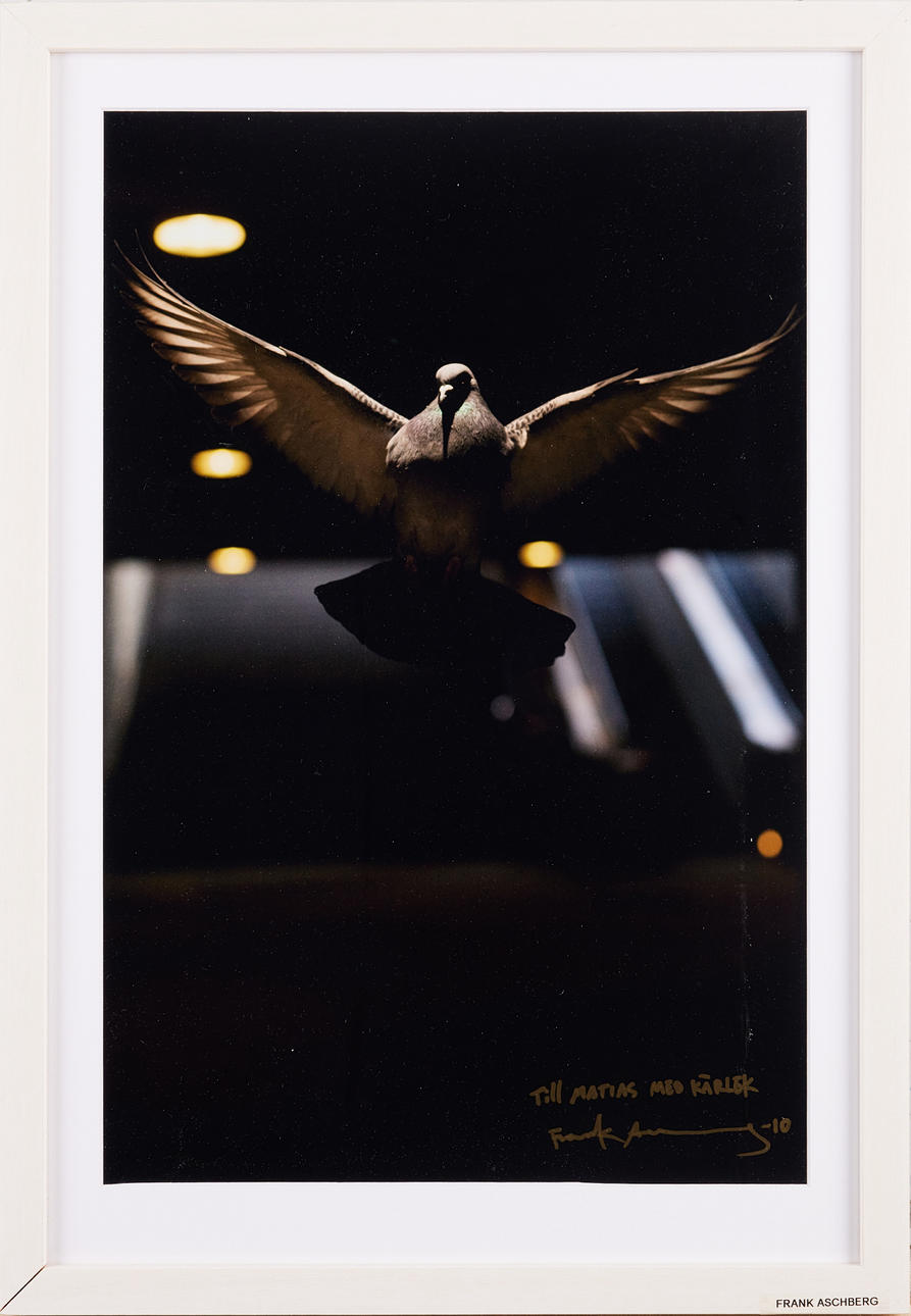 FRANK ASCHBERG. Untitled, c-print, 45 x 30 cm.