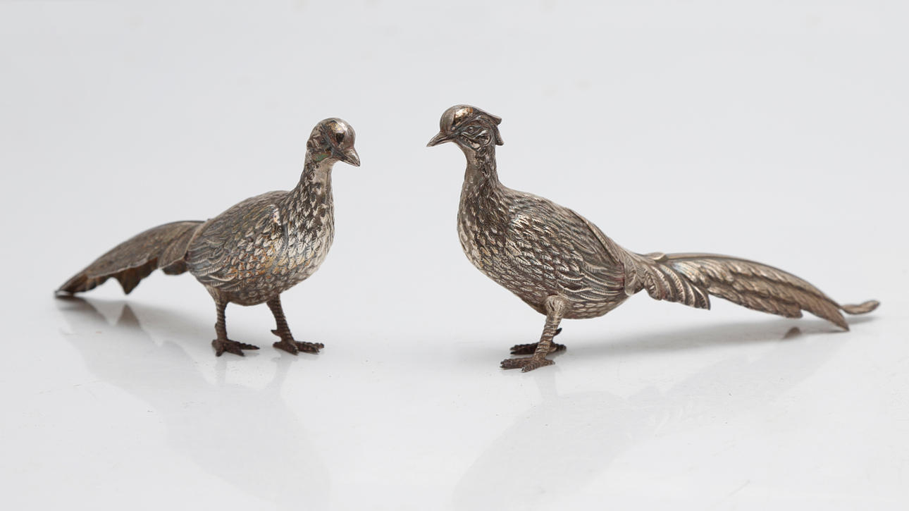 Pair of silver pheasants.