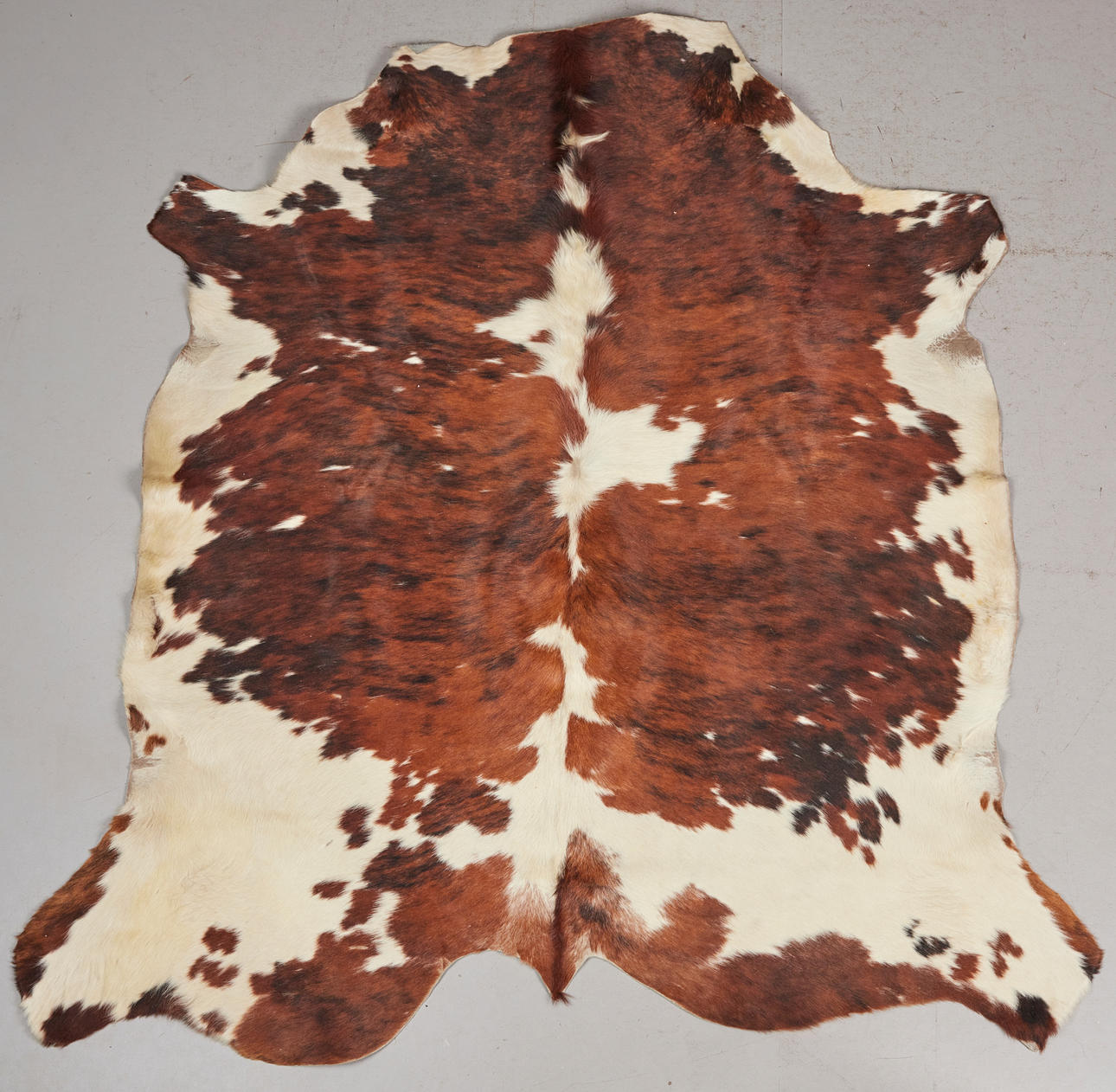 Kuhfell / Teppich, Kuhfell.