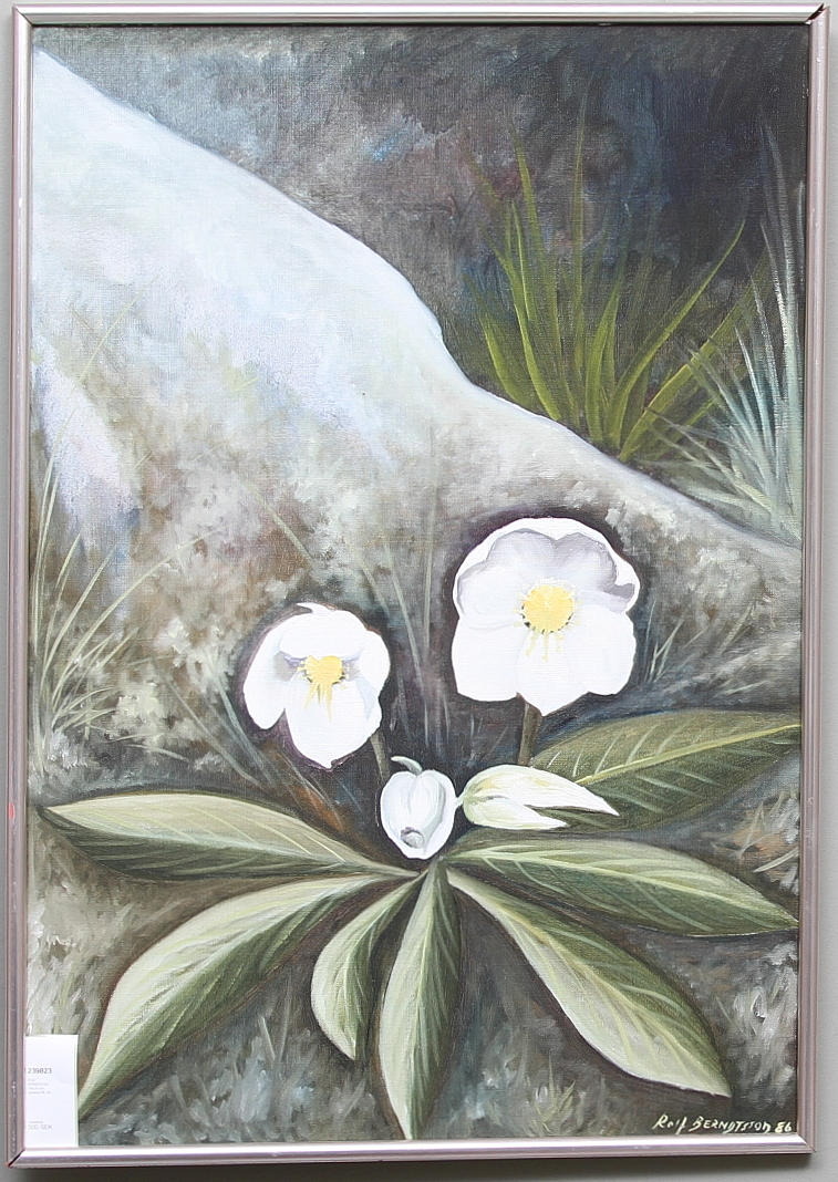 ROLF BERNDTSON. Olja på duk, signerad 86.