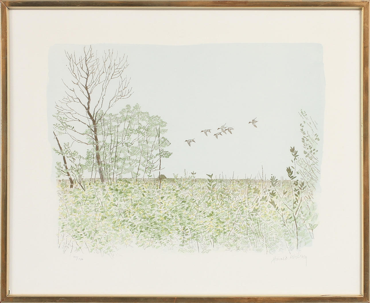 HARALD WIBERG. Sträckande änder. Färglitografi, signerad och numrerad 77/280.