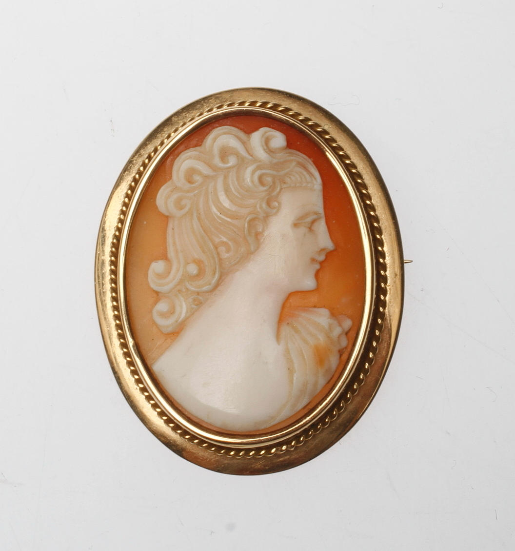 BROSCH/HÄNGE, 18k guld med Camé, total vikt ca 13 gram.