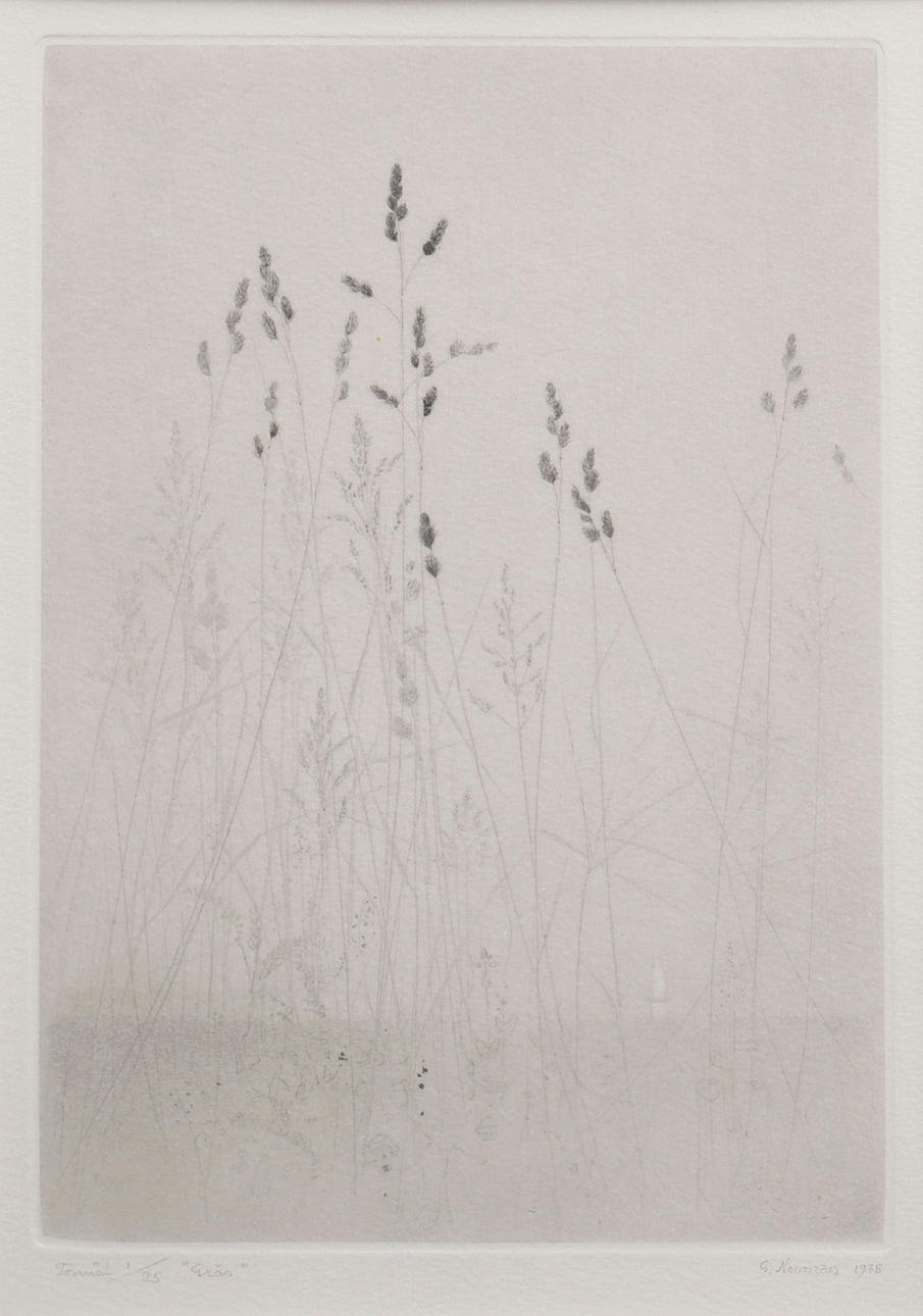 GUNNAR NORRMAN. "GRASS", DRY NEEDLE.