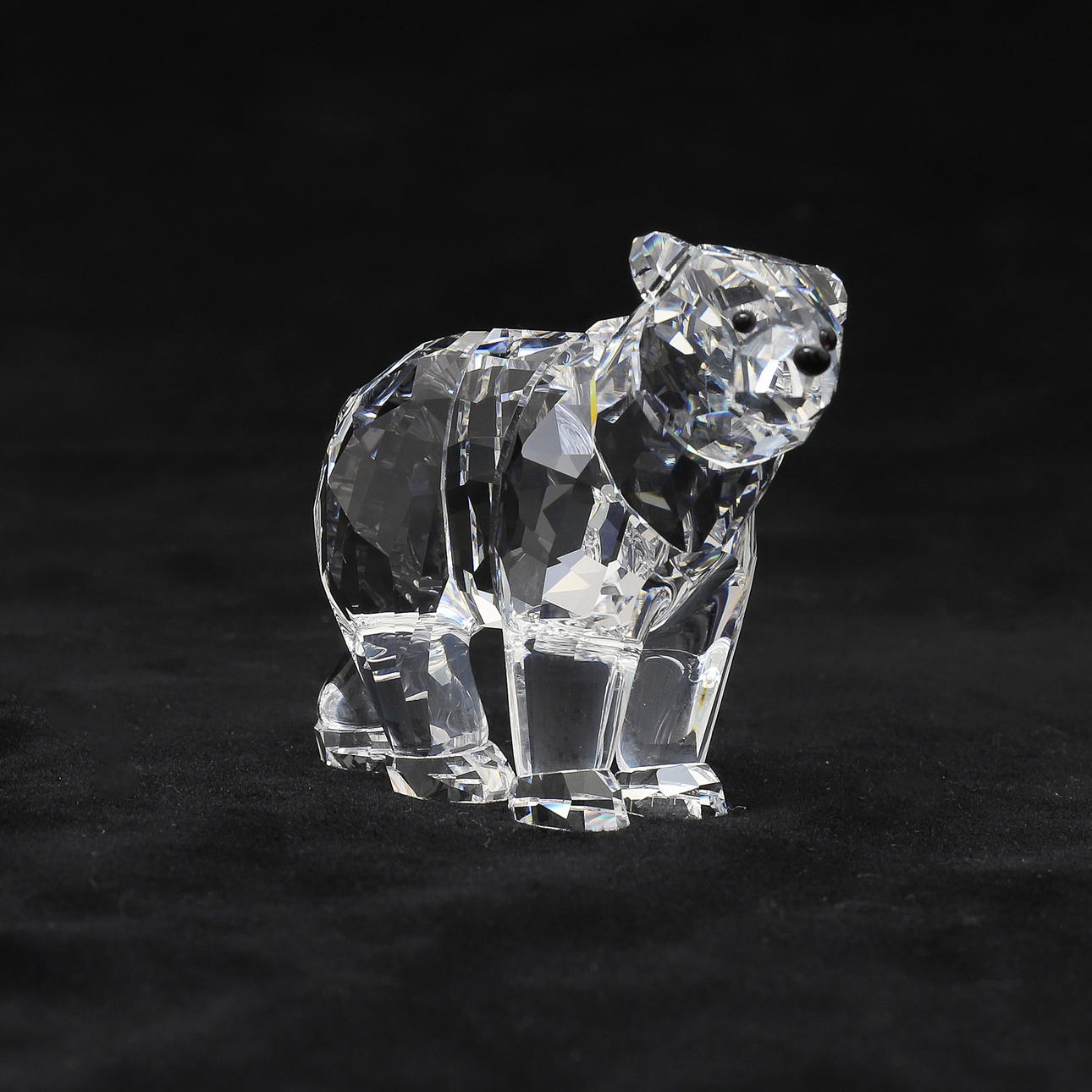 SWAROVSKI: OSO POLAR (HERMANO).
