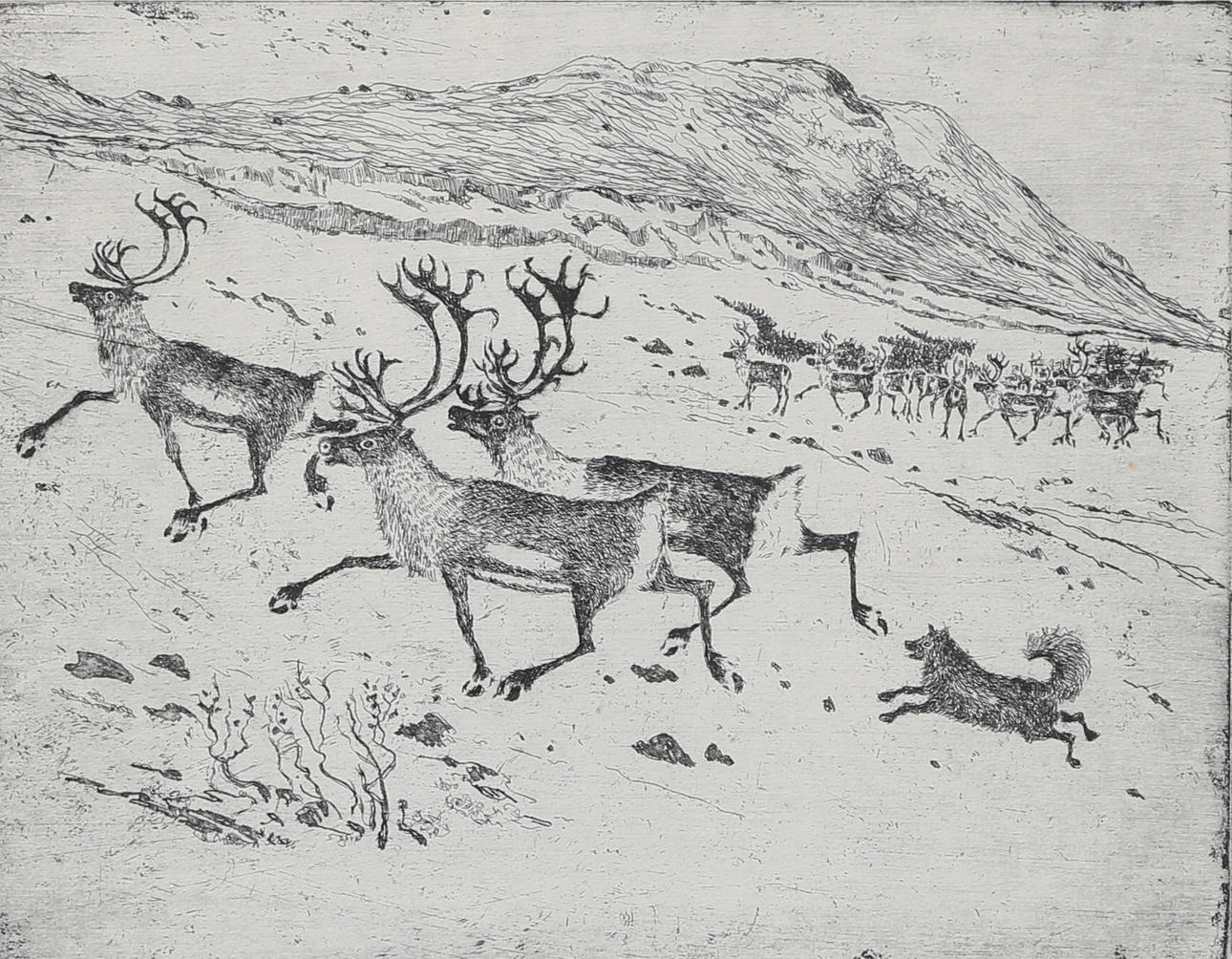LARS PIRAK. etching, numbered 175/200, “Three Reindeer, signed.