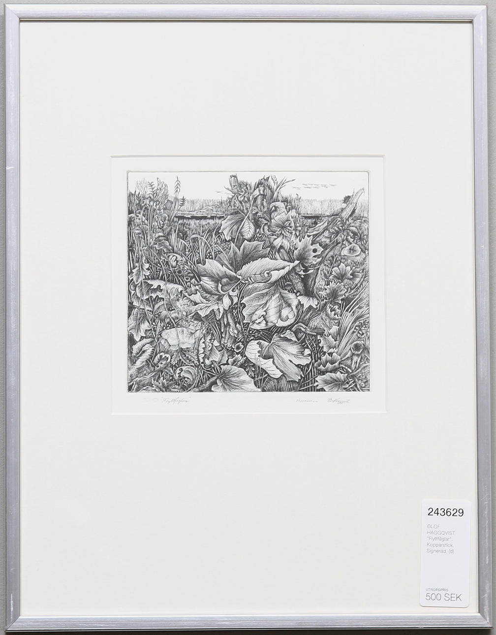 OLOF HÄGGQVIST. "Flyttfåglar". Kopparstick. Signerad.