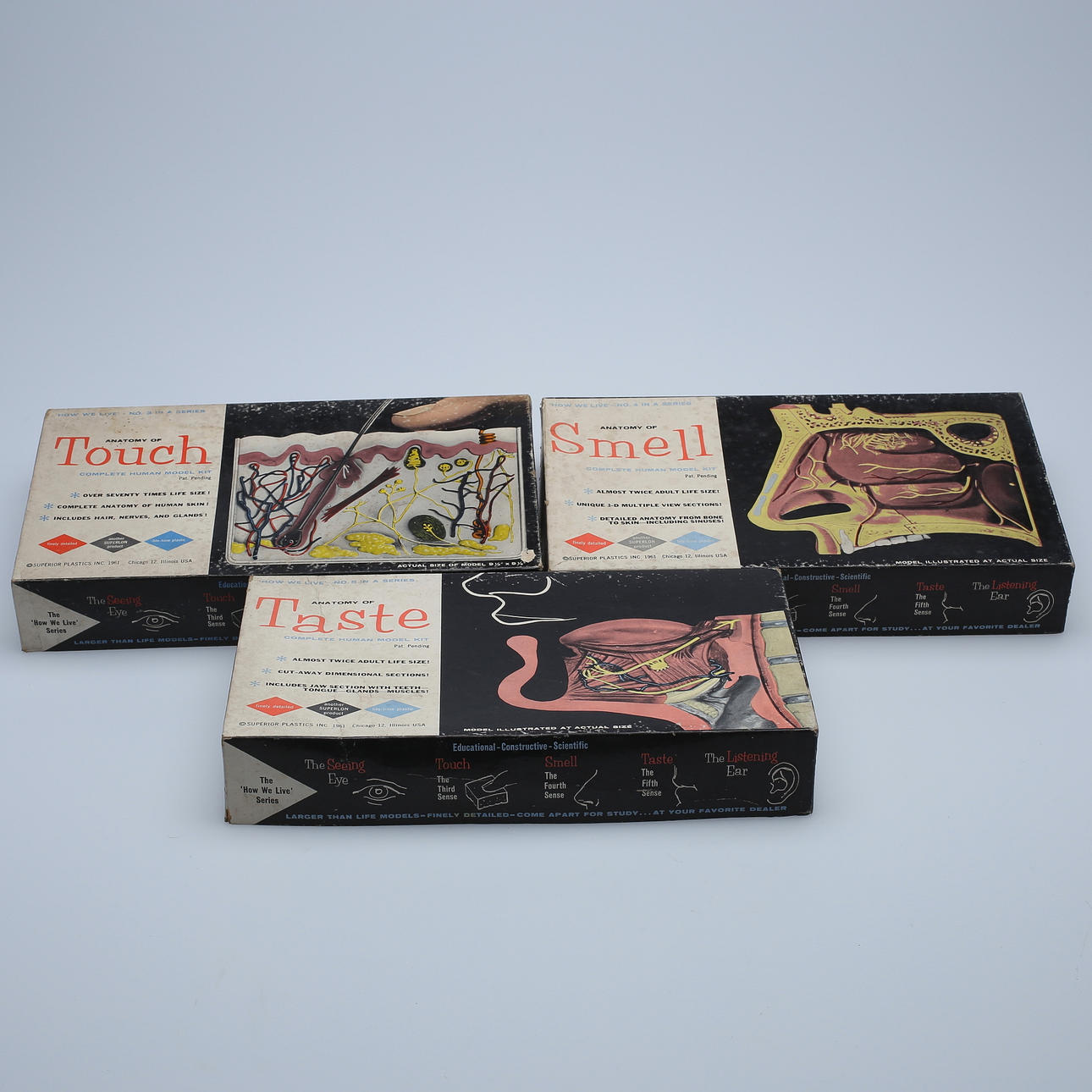 ANATOMIMODELLER, 3 delar, Superior Plastics Inc, 1960-tal.