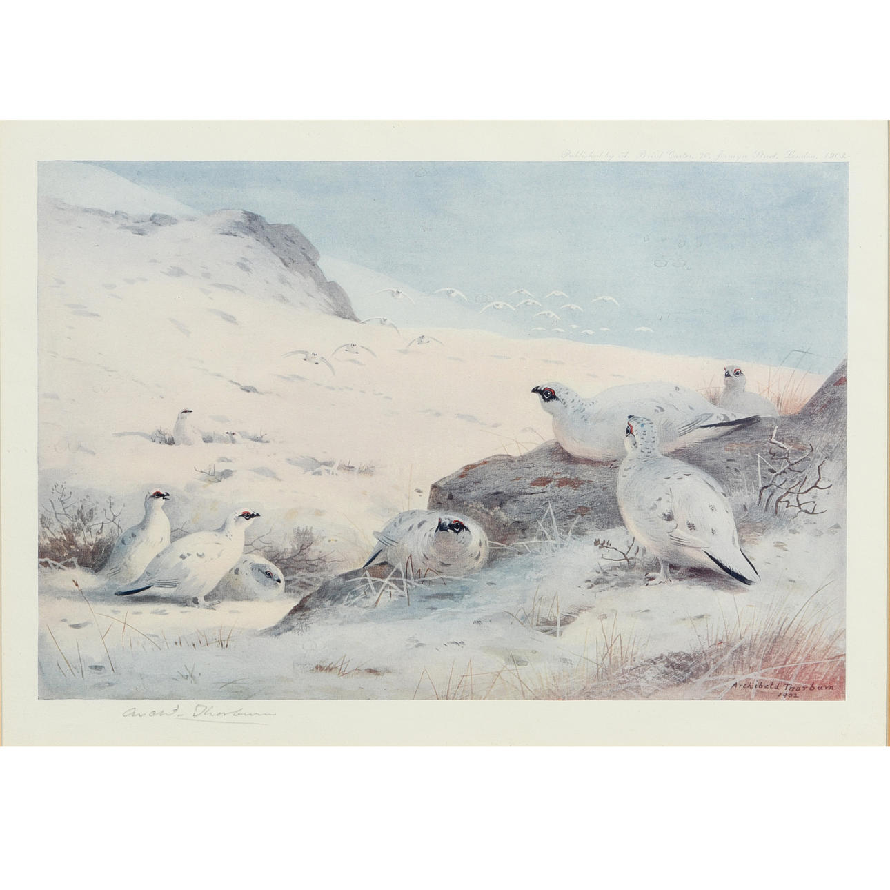 ARCHIBALD THORBURN (1860-1935). SEVEN SIGNED PRINTS.
