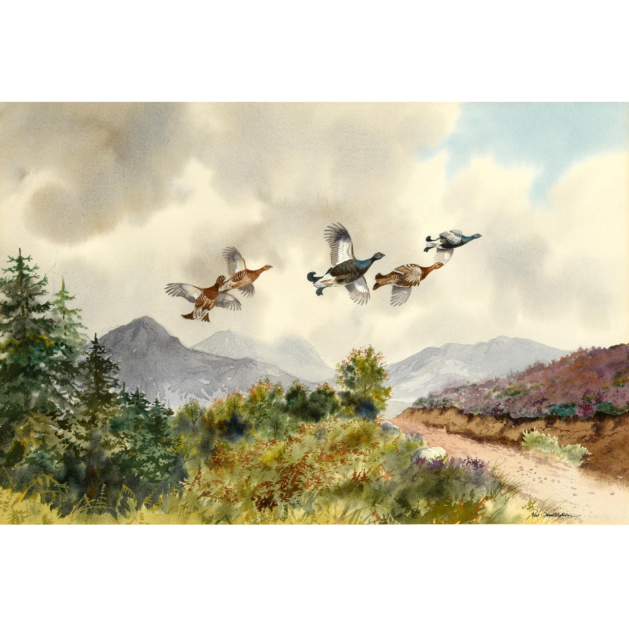 ROBERT W. MILLIKEN (1920-2014). BLACK GROUSE IN THE MOUNTAINS.