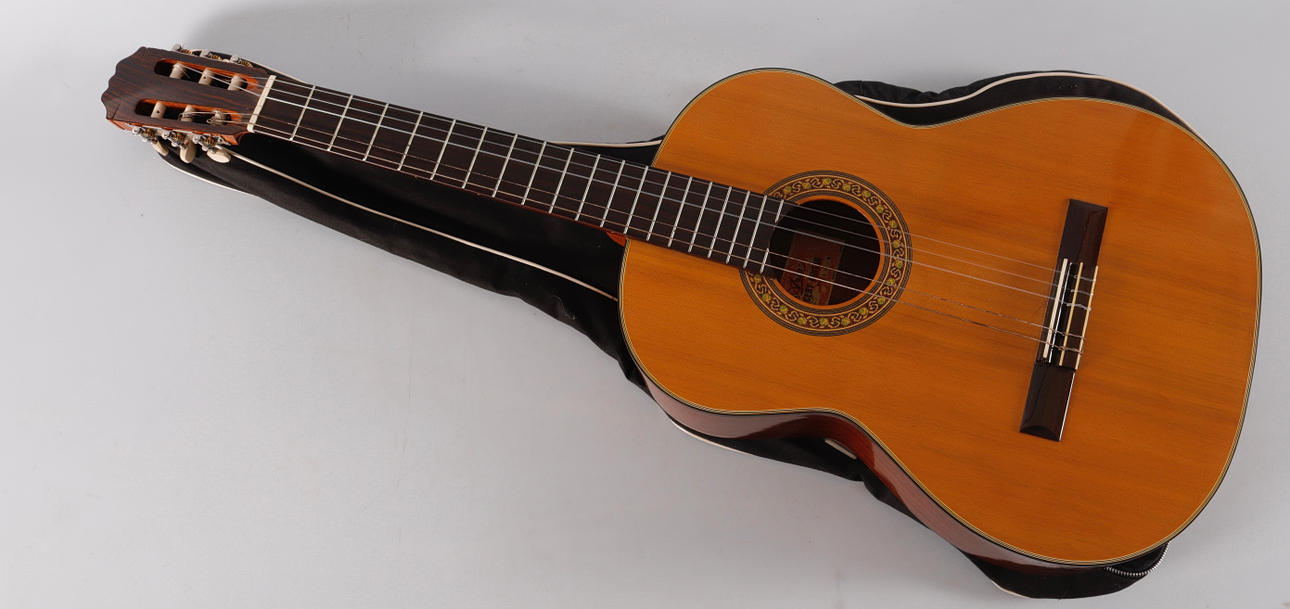 AUCOUSTIC GUITAR, Aria.