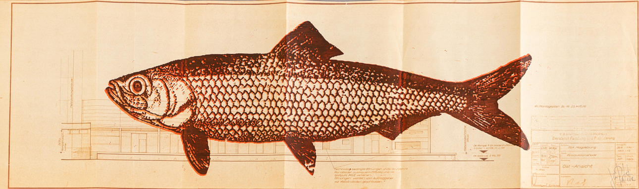 JEAN PEUT-ÊTRE (GEB. 1971). Poisson.