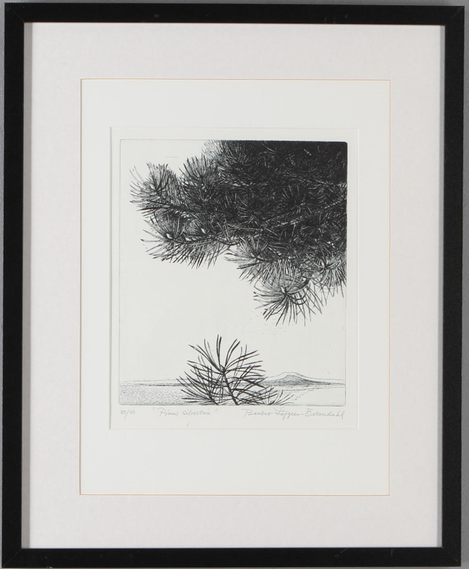 BARBRO LÖFGREN-ÖRTENDAHL. "Pinus Silvestris", grafiskt blad, signerad samt numrerat 29/30.