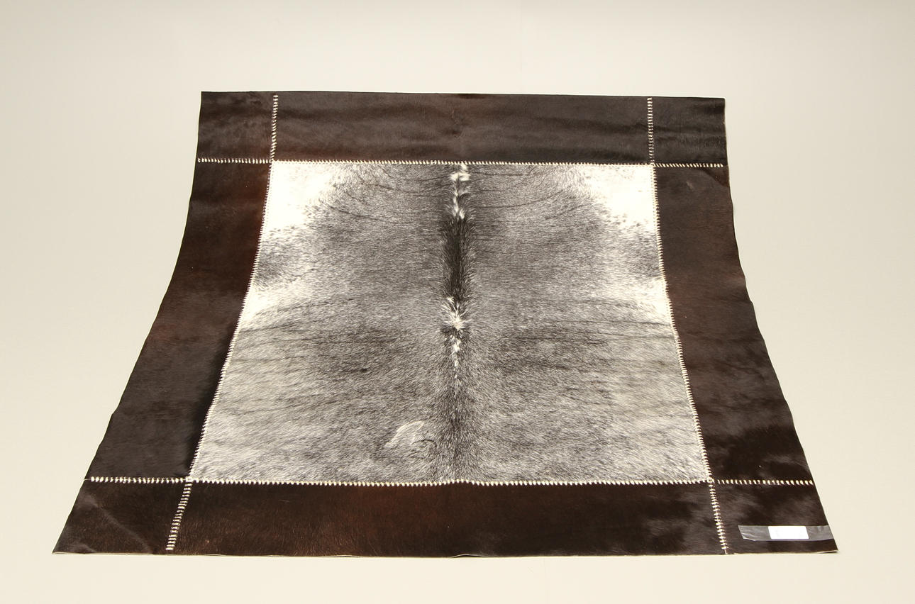 MATTA, koskinn, Argentina. 198 x 181 cm.