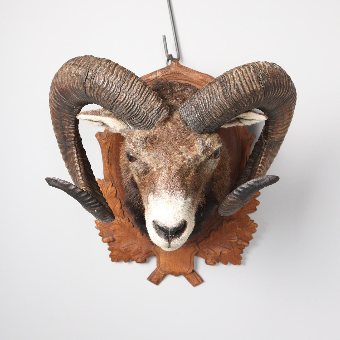 VÆDER TAXIDEM på træskjold.