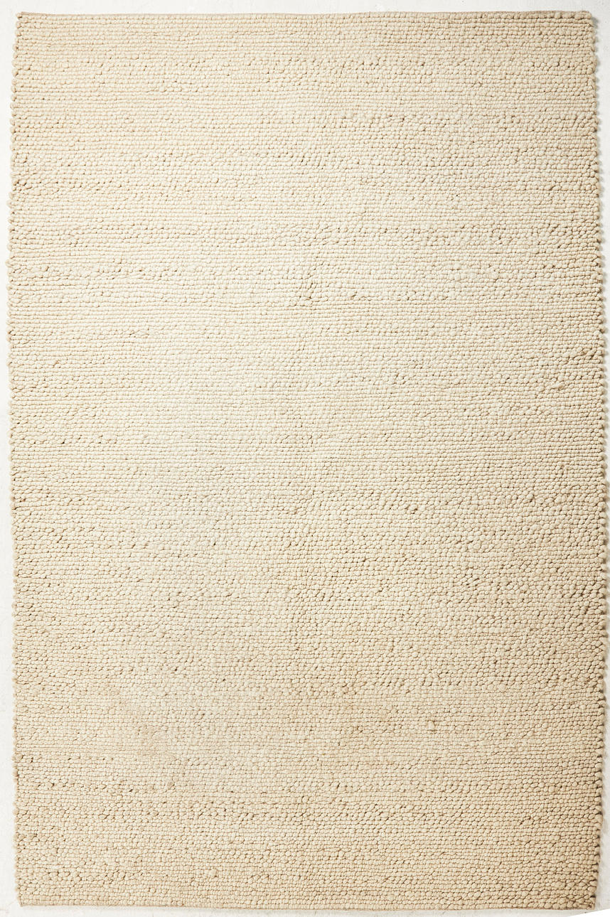 CARPET, 