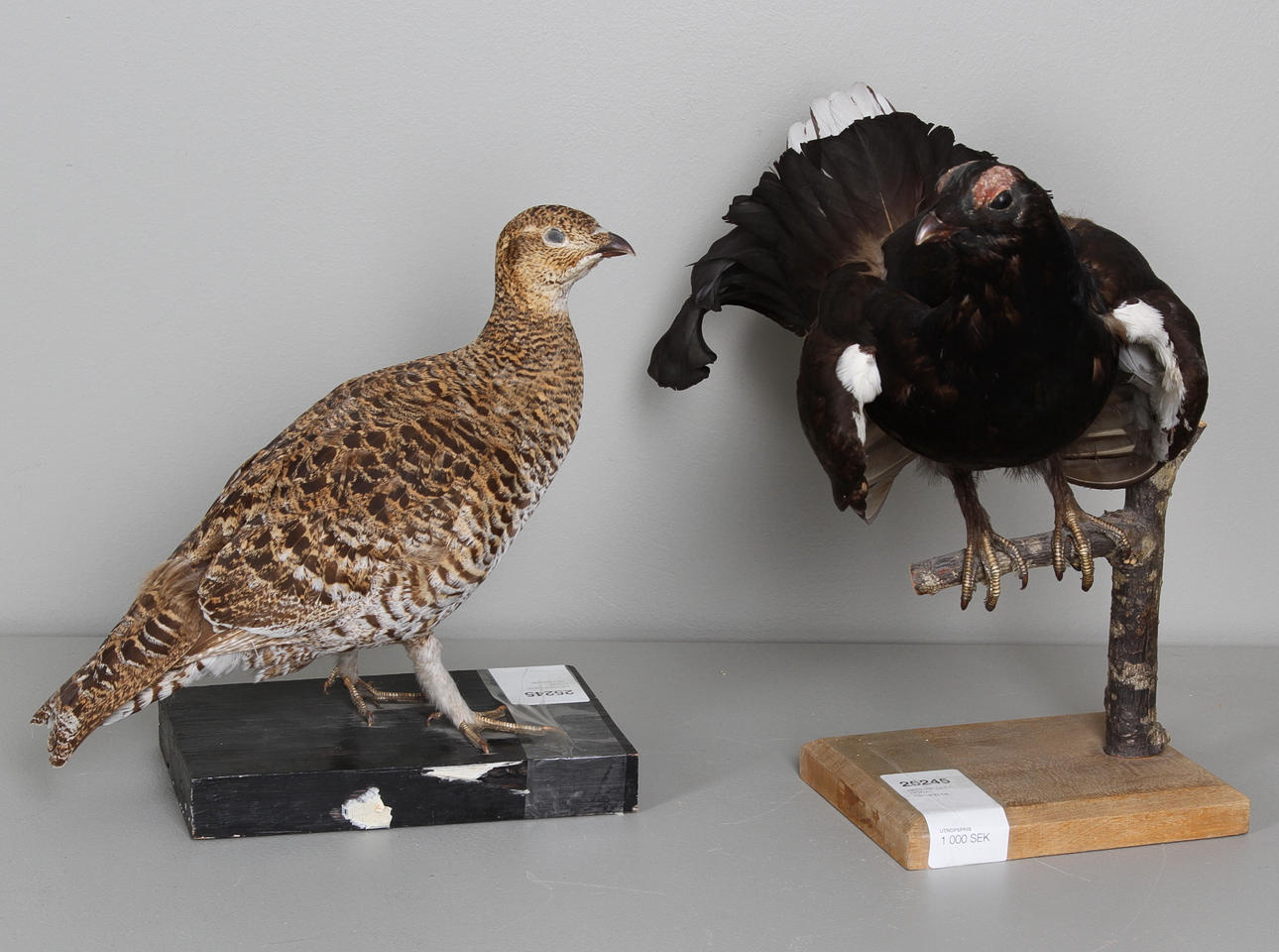 ORTUPP OCH HÖNA, 18/1900-tal.