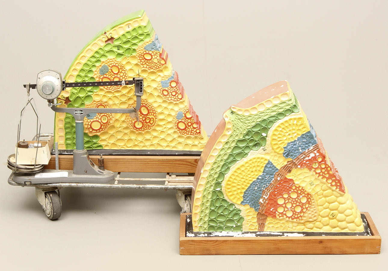 UNDERVISNINGSMATERIAL, 2 delar, samt VÅG, Dial-o-gram, 50/60-tal.