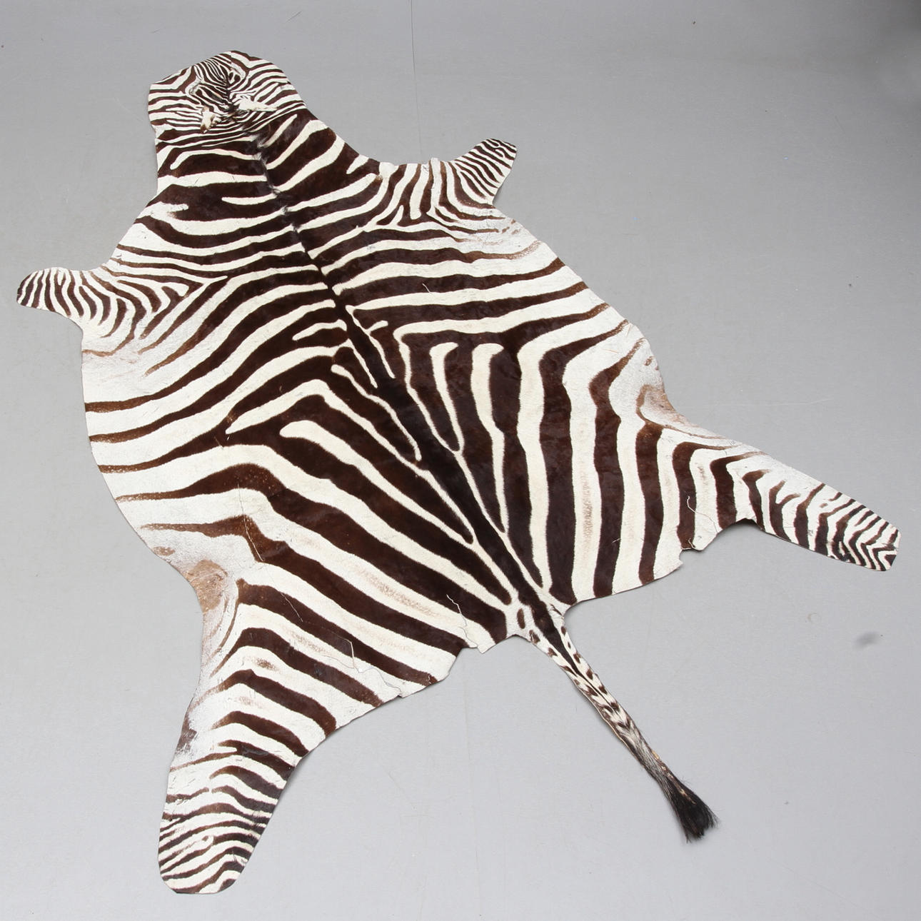ZEBRASKINN.
