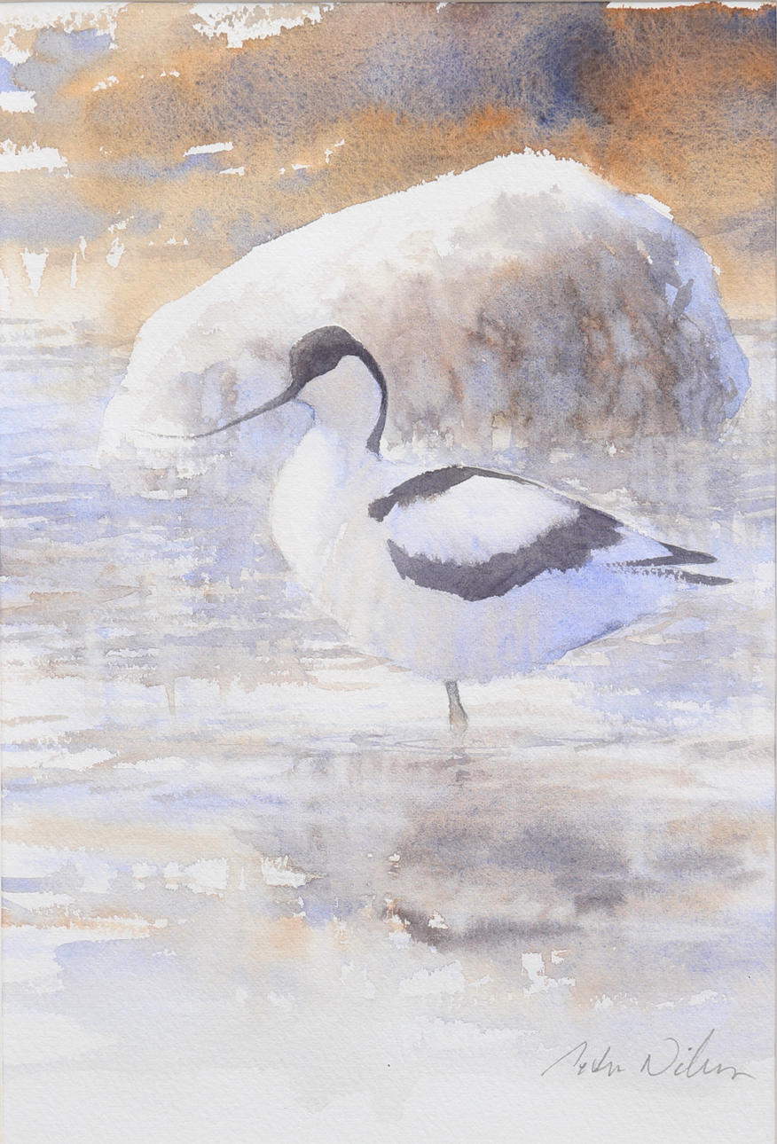 PETER NILSSON. Akvarell, skärfläcka, signerad.