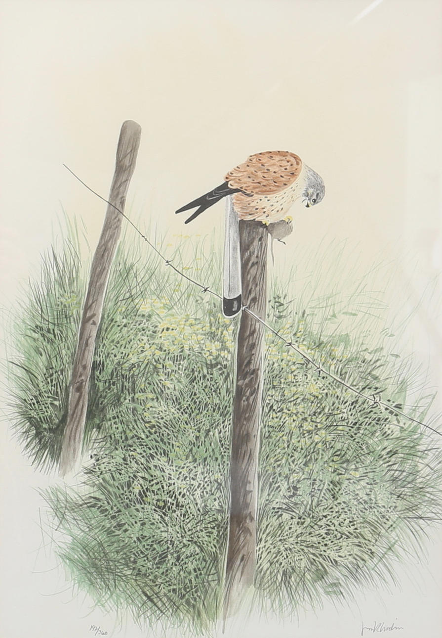 JAN RHODIN. Färglitografi, signerad, numrerad 197/360. Konst - Grafik ...