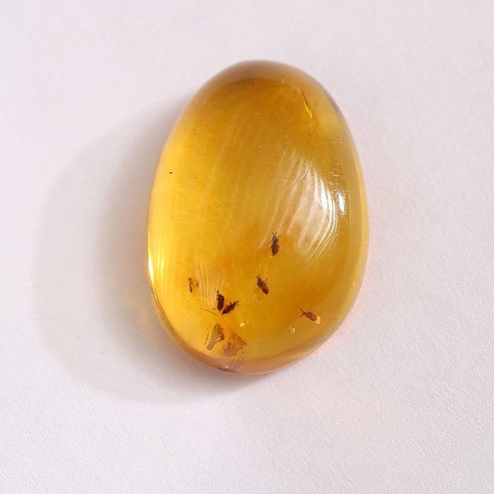PIEDRA ÁMBAR CON INSECTOS.
