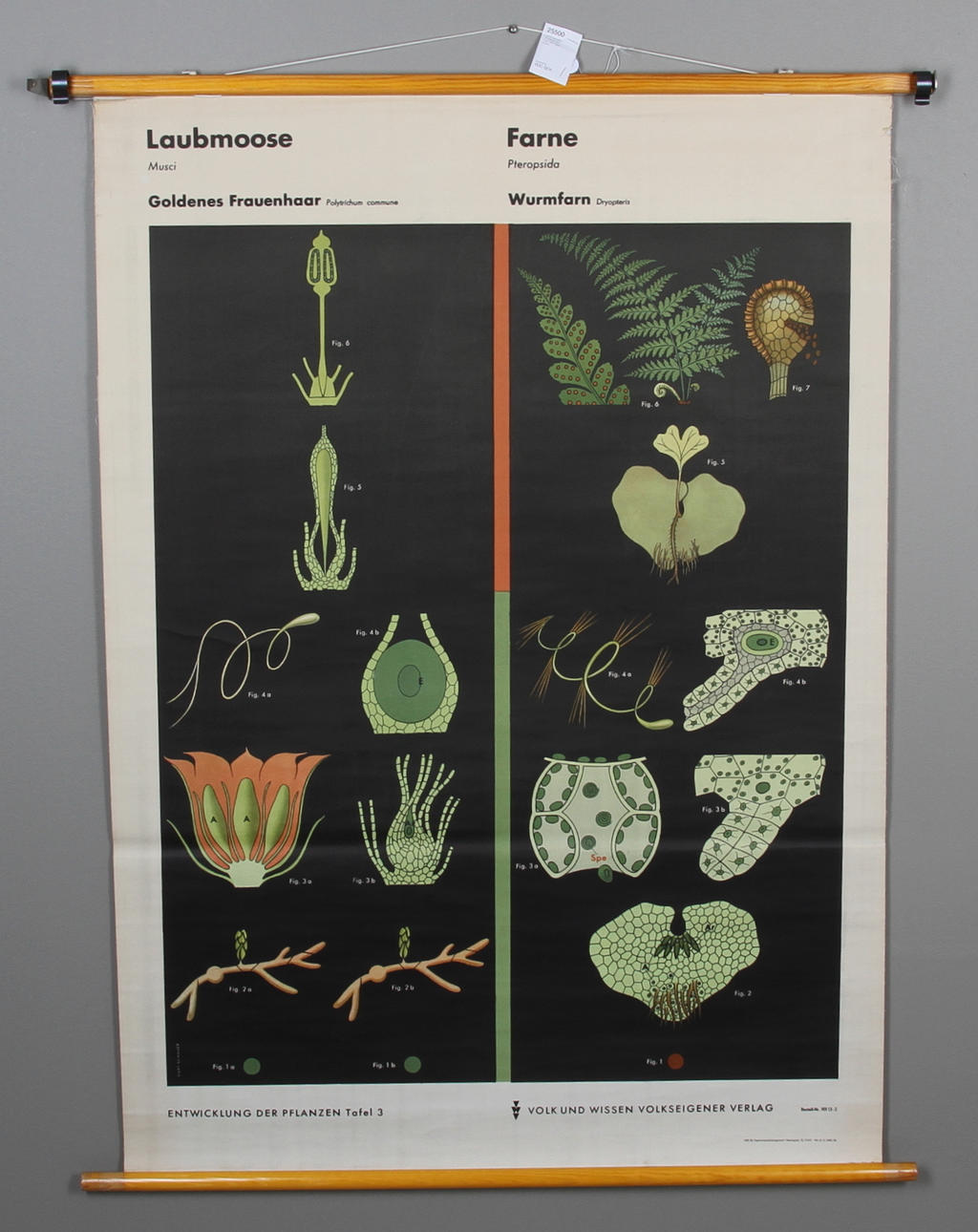 UNDERVISNINGSPLANSCHER, 3 st, 1900-talets början.