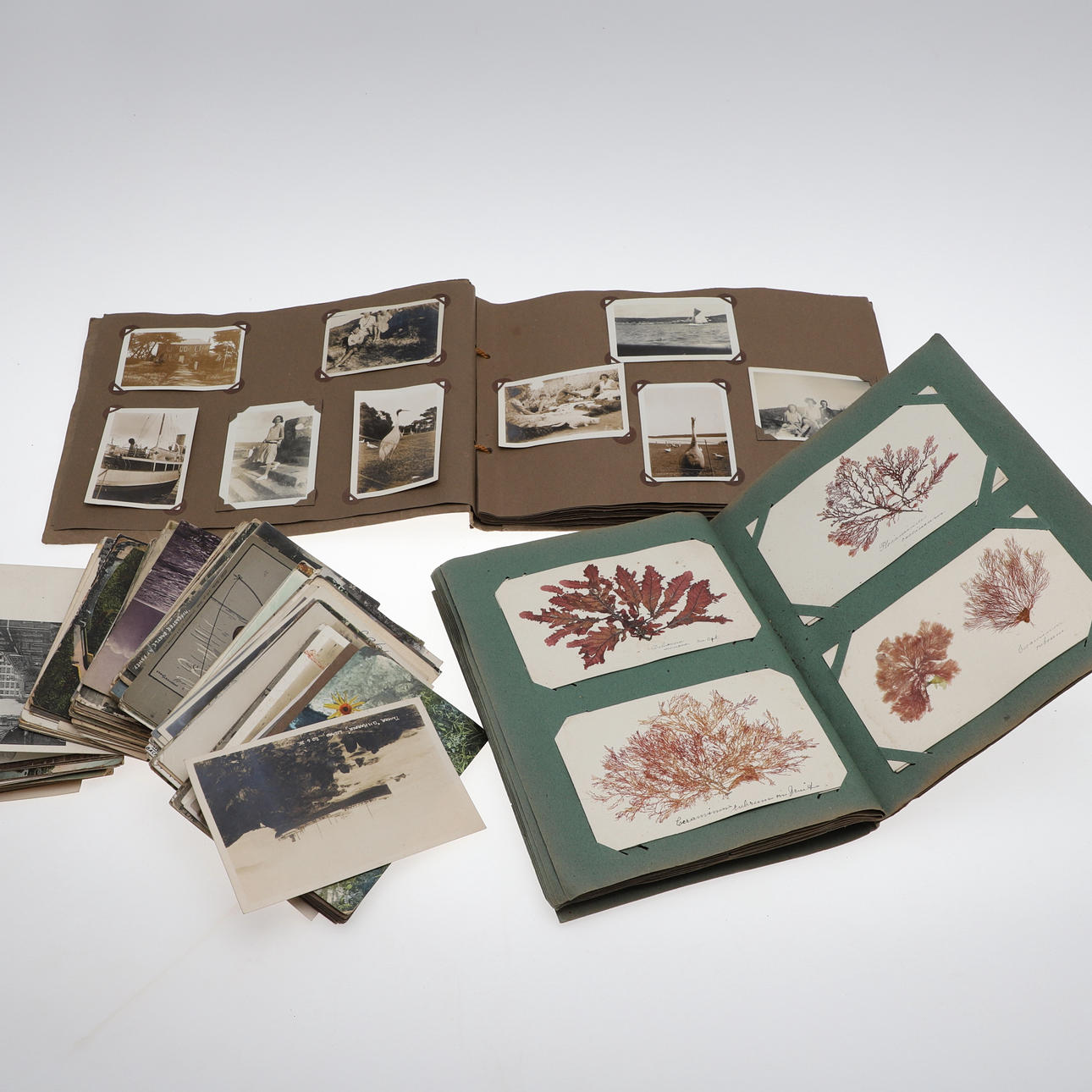 EN SAMLING POSTKORT SOM ER MED FØRSTE VERDENSKRIGSKORT.