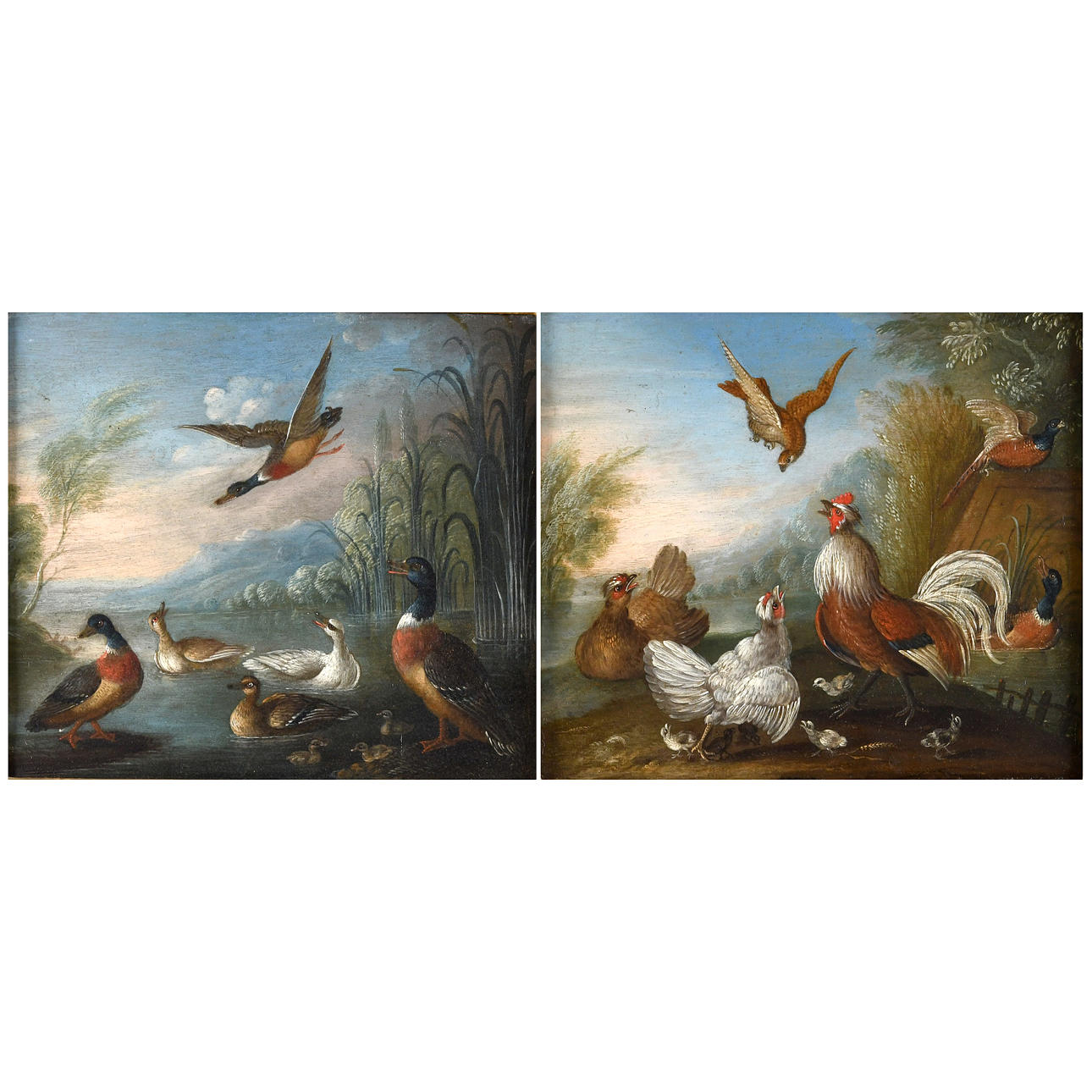 ATTRIBUTED TO MARMADUKE CRADOCK (1660-1716). POULTRY AND DUCKS.