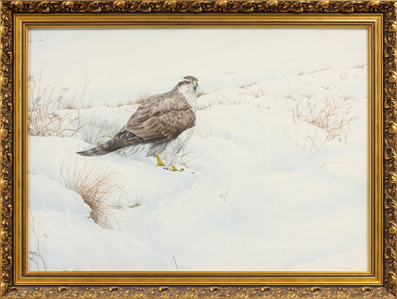 GUNNAR PETTERSSON. Rovfågel, akvarell, signerad.