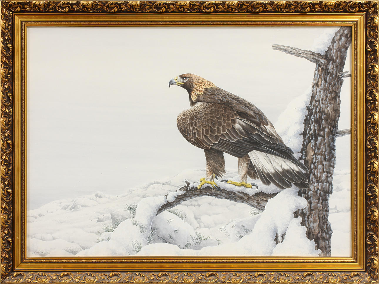 GUNNAR PETTERSSON. Rovfågel, akvarell, signerad.