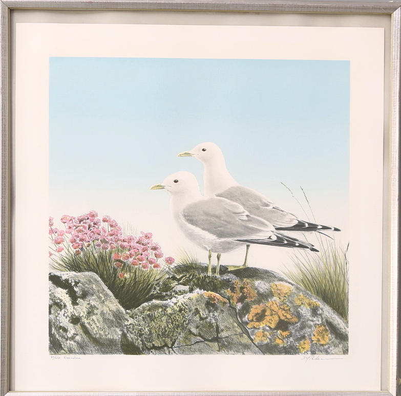 DAG PETTERSSON. Färglitografi, "Fiskmåsar" signerad och numrerad 84/250.