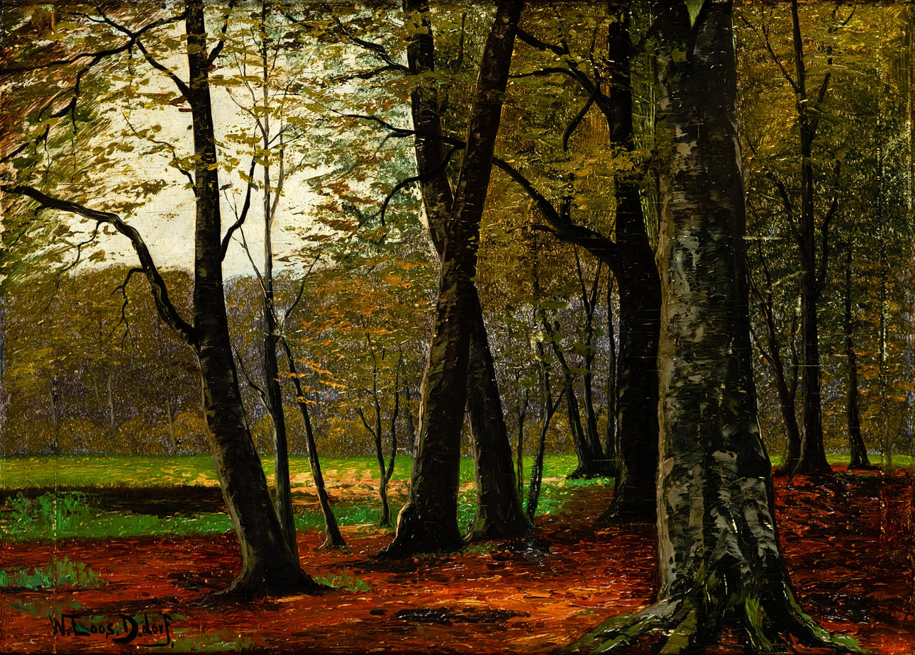 W. LOOS (DÜSSELDORF). forest landscape.