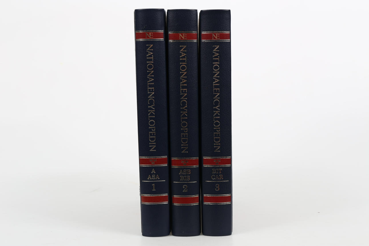 NATIONALENCYKLOPEDIN, 20 band, Bokförlaget Bra Böcker.