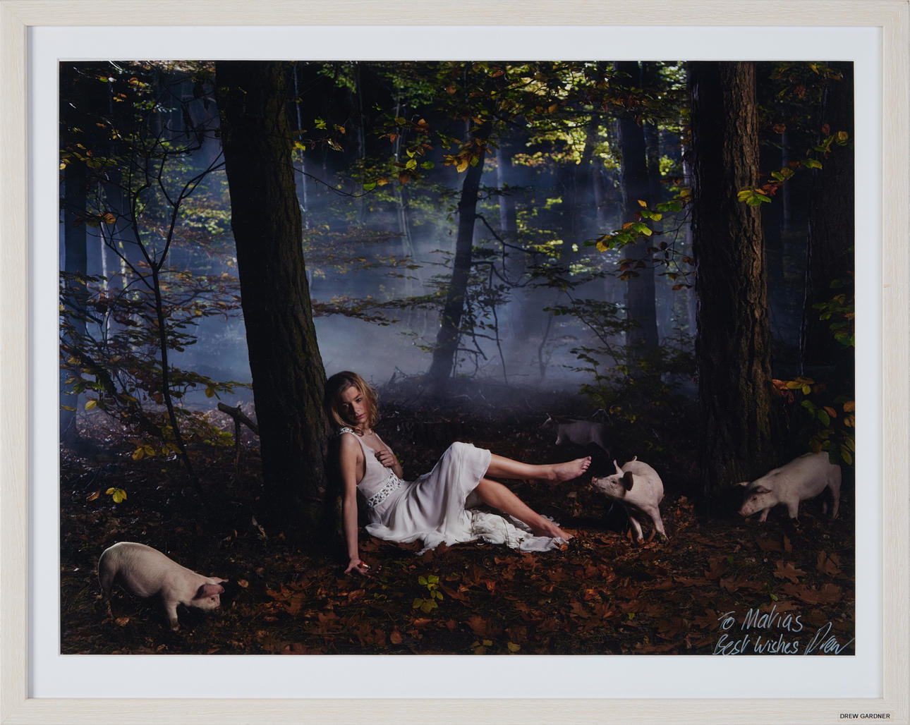 DREW GARDNER. Untitled, c-print, 46 x 60 cm.