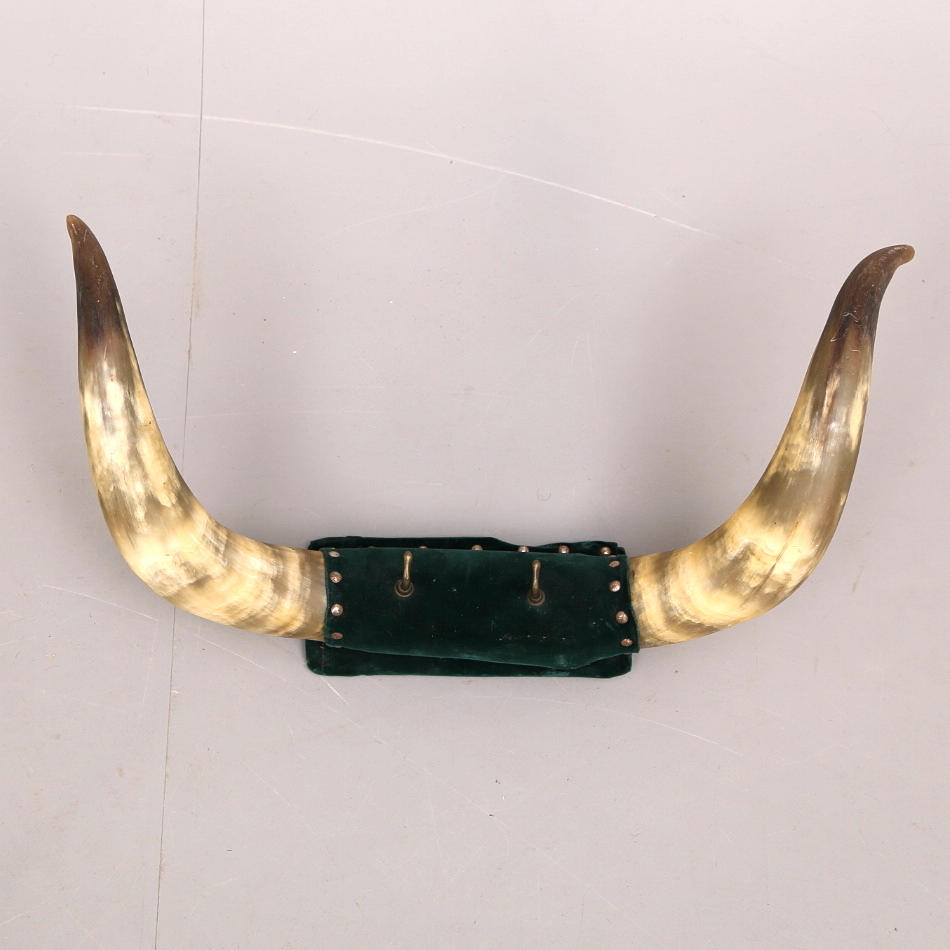 VÄGGDEKORATION med krokar, oxhorn.